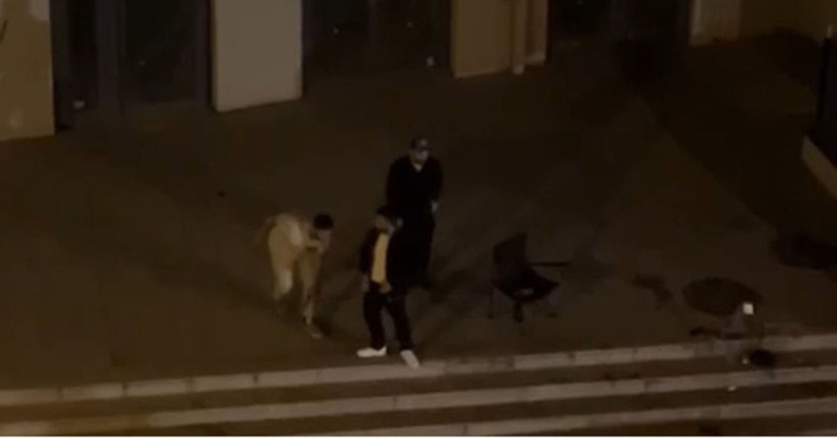 Küfür tartışması kanlı bitti: Arkadaşını bacağından vurdu