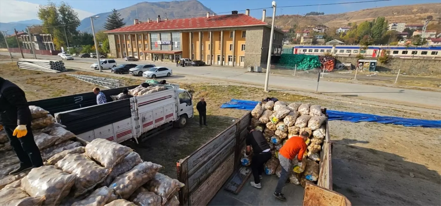 Bitlis’te 192 Ton Patates İhtiyaç Sahiplerine Dağıtıldı