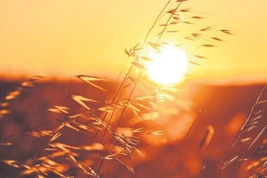 Doğduğu yerin güneş ışığını özleyenlere teknoloji yardımı