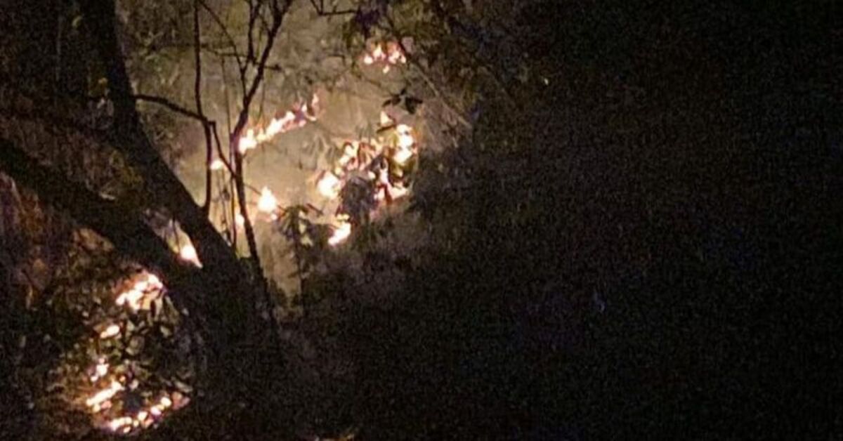 Rize’nin Pazar ilçesi Ortaırmak köyünde anız ateşi ormana sıçradı