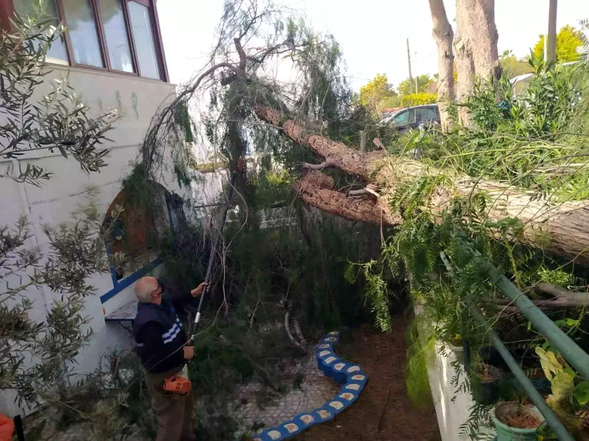 Bodrum’da Fırtına ve Çöl Tozu Felaketi